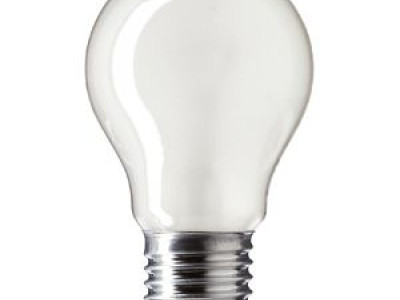 Lightbulb 60 Watt Eddison Screw Rough Service