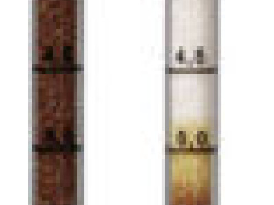 Dräger Short Term Detection Tubes - Hydrogen Sulphide/Sulphur Dioxide 0.2%/a